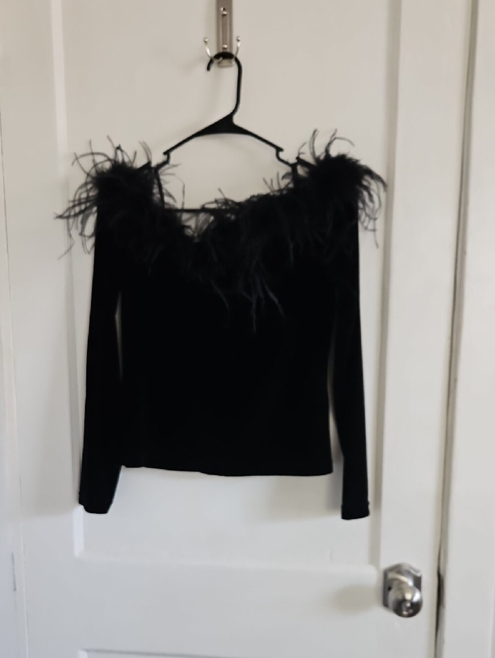Cachet Black Feather-Trim Velvet Top - Picture 3 of 3